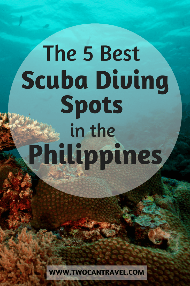 Best Scuba Diving Spots in the Philippines