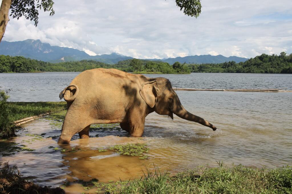 things to do in Luang Prabang, Laos