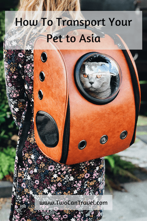 How to Transport Your Pet to Asia - Two Can Travel Are you planning to travel with your pet to Asia? Animal transport is no easy thing, but if you are bringing your furry companion with you abroad then there are some important things you need to know. #AsiaPetTravel #TravelingWithPets