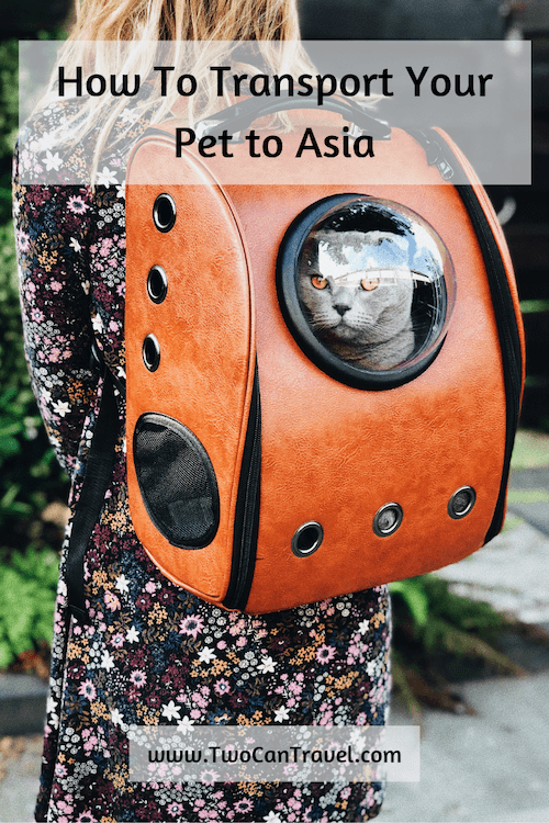 aphis pet travel to india