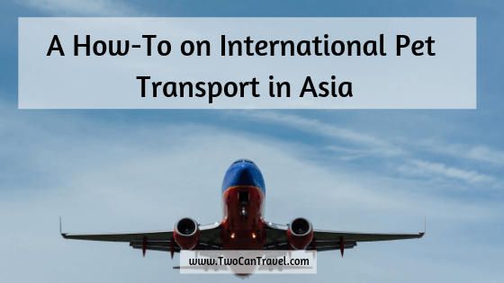 A How-To on International Animal Transport in Asia - Two Can Travel