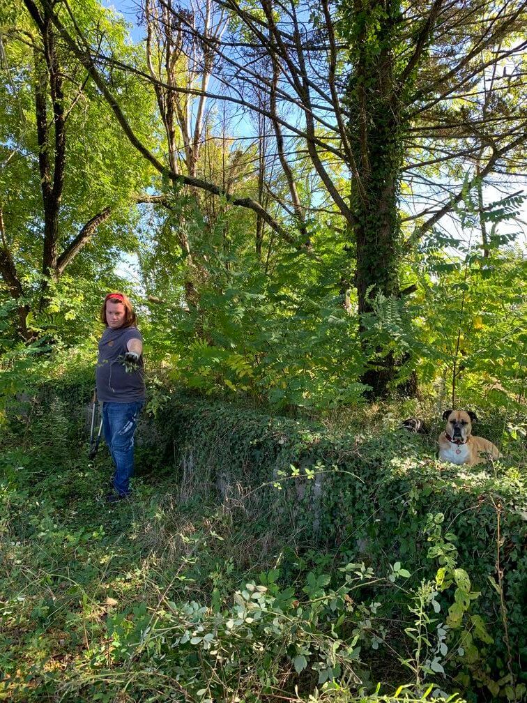 pet sitting and house sitting while traveling long term. A man is doing yard work throwing a branch onto a pile of branches and leaves. There are trees all around him. A dog is sitting on the right side of the picture looking toward the camera. 