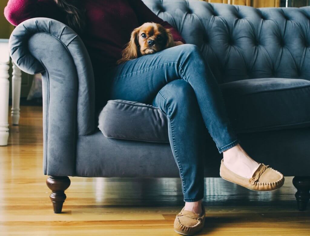 A dog in a woman's lap sitting on a couch, enjoying the benefits of house sitting.