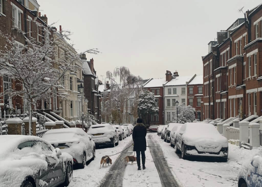 A woman waling two dogs on a snowy street in London. Trusted Housesitters Review. 