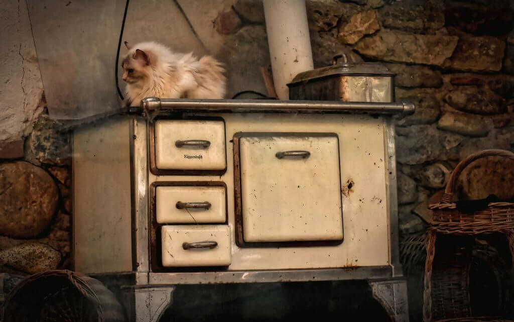 Cat on an old oven, in a house, sitting