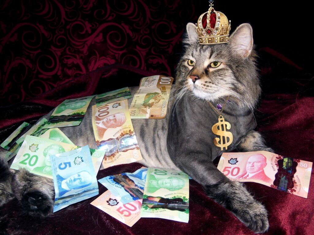 A cat wearing a crown, covered in money