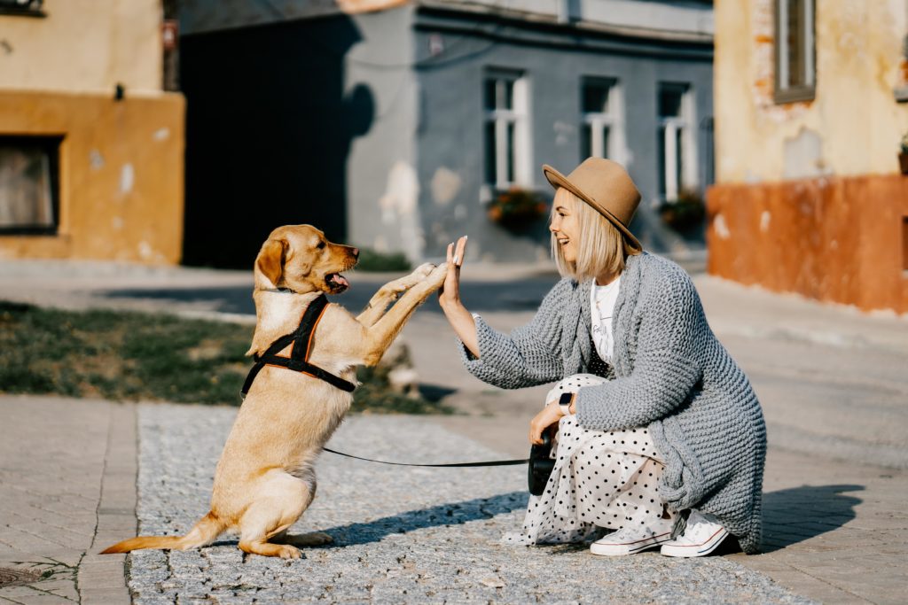 A blonde woman in a white polka dot dress and beige hat high fives a yellow dog near some old buildings 