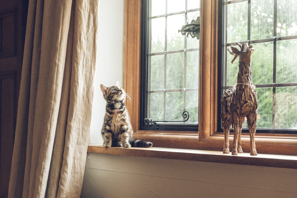 A cat sitting on a windowsill is looking up next to a deer made of wood